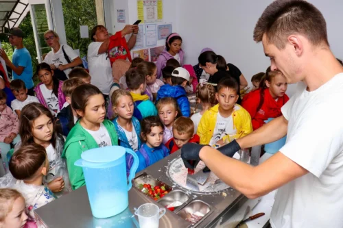 Demonstratie desert rulat pe plita